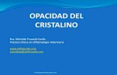 Charla de Catarata. Copia CD - PDF[1]