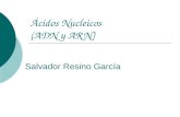 Ácidos Nucleicos (ADN y ARN) Salvador Resino García.