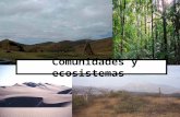 Comunidades y ecosistemas El ambiente es un término amplio que incluye todas las condiciones y factores externos (vivientes y no vivientes) que le.