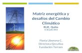 Matriz energética y desafíos del Cambio Climático RLIE, Quito 11 de julio 2013 Flavia Liberona C. Directora Ejecutiva Fundación Terram.
