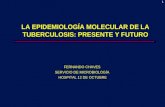 1 FERNANDO CHAVES SERVICIO DE MICROBIOLOGÍA HOSPITAL 12 DE OCTUBRE LA EPIDEMIOLOGÍA MOLECULAR DE LA TUBERCULOSIS: PRESENTE Y FUTURO.