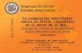 La Cooperación Hemisférica contra el Delito Cibernético en el marco de la OEA: el Grupo de Trabajo de las REMJA y el Portal Interamericano en Delito Cibernético.