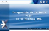 Integración de la Renta Fija en el Holding BME. La Antigua, Guatemala, 28 de marzo de 2007.
