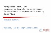 Programa REDD de conservacion de ecosistemas forestales – oportunidades y desafios Gabriel Labbate Panama, 16 de Septiembre 2011.