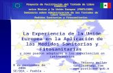 Proyecto de Facilitación del Tratado de Libre Comercio entre México y la Unión Europea (PROTLCUEM) 1 La Experiencia de la Unión Europea en la Aplicación.