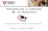 Prevención y Control de la Mastitis Sigan, Agosto 2013 Del griego Masthos = mama e Itis= inflamación.
