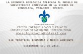 LA ECONOMÍA ECOLÓGICA APLICADA AL MODELO DE SUBSISTENCIA CAMPESINO EN LA SIERRA DE ZONGOLICA, VERACRUZ; MÉXICO. VÍCTOR ENRIQUE ABASOLO PALACIO UNIVERSIDAD.