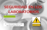 Normas de trabajo M. C. José Enrique Valdez Cerda laboratoriosfcq@gmail.com.