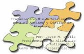 Tratamientos Bio-Nutricionales para el Autismo y Déficit de Atención Por: Joyce M. Dávila Presidenta de la Alianza de Autismo de PR Dueña de ChicosEspeciales.com.
