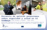 Encuesta de opinión paneuropea sobre seguridad y salud en el trabajo Resultados de toda Europa y España - Mayo 2013 Resultados representativos de 31 países.