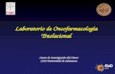 Laboratorio de Oncofarmacología Traslacional Centro de Investigación del Cáncer CSIC-Universidad de Salamanca.