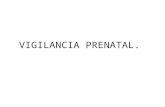 VIGILANCIA PRENATAL.. Objetivo de la Vigilancia Prenatal. La vigilancia prenatal, está dirigida a la detección y control de los factores de riesgo obstétrico;
