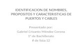 IDENTIFICACION DE NOMBRES, PROPOSITOS Y CARACTERISTICAS DE PUERTOS Y CABLES Presentado por: Gabriel Crisanto Méndez Corona 1° de Bachillerato # de lista:12.