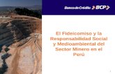 1 El Fideicomiso y la Responsabilidad Social y Medioambiental del Sector Minero en el Perú