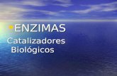 ENZIMAS ENZIMAS Catalizadores Biológicos. Gráfica de Actividad enzimática.