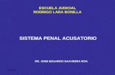 08/04/2014 SISTEMA PENAL ACUSATORIO DR. JOSE EDUARDO SAAVEDRA ROA ESCUELA JUDICIAL RODRIGO LARA BONILLA.