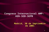 1 Congreso Internacional AMP-AEN- SEB-SEPB Madrid, 30 de Septiembre de 2001.