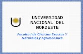 UNIVERSIDAD NACIONAL DEL NORDESTE Facultad de Ciencias Exactas Y Naturales y Agrimensura.