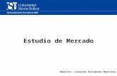 Estudio de Mercado Maestro: Leonardo Hernández Martínez.