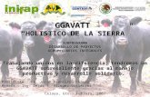 GGAVATT HOLISTICO DE LA SIERRA SUBPROGRAMA DESARROLLO DE PROYECTOS AGROPECUARIOS INTEGRALES Trabajando unidos en la diferencia, tendremos un GGAVATT sobresaliente.