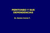 Copia de Peritoneo - Correa