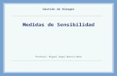 Medidas de Sensibilidad Profesor: Miguel Ángel Martín Mato Gestión de Riesgos.