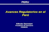 PERU Avances Regulatorios en el Perú Alfredo Dammert Presidente del Directorio OSINERG.