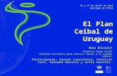 El Plan Ceibal de Uruguay Ana Rivoir Proyecto Cepal @LIS2 Comisión Económica para América Latina y el Caribe (CEPAL ) Participaron: Susana Lamschtein,