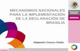 MECANISMOS NACIONALES PARA LA IMPLEMENTACIÓN DE LA DECLARACIÓN DE BRASILIA Alejandro Orozco Rubio.