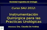 Sociedad Argentina de Urología Curso SAU 2012: Instrumentación Quirúrgica para las Practicas Urológicas Directora: Dra. Claudia De Andrea.
