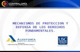 MECANISMOS DE PROTECCION Y DEFENSA DE LOS DERECHOS FUNDAMENTALES.