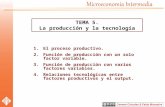 1.El proceso productivo. 2.Función de producción con un solo factor variable. 3.Función de producción con varios factores variables. 4.Relaciones tecnológicas.
