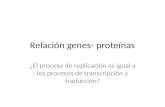 Relación genes- proteínas ¿El proceso de replicación es igual a los procesos de transcripción y traducción?