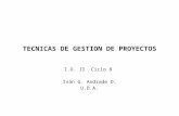 TECNICAS DE GESTION DE PROYECTOS I.O. II Ciclo 8 Iván G. Andrade D. U.D.A.