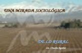 UNA MIRADA SOCIOLÓGICA DE LO RURAL Lic. Claudia Aguilar.