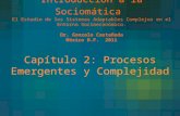Introducción a la Sociomática El Estudio de los Sistemas Adaptables Complejos en el Entorno Socioeconómico. Dr. Gonzalo Castañeda México D.F. 2011 Capítulo.