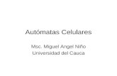 Autómatas Celulares Msc. Miguel Angel Niño Universidad del Cauca.
