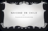 NAVIDAD EN CHILE Presentación de Amanda Kelly. CHILE En Chile, navidad es un tiempo muy importante para celebración.