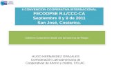 Gobierno Corporativo desde una perspectiva de Riesgo. II CONVENCION COOPERATIVA INTERNACIONAL FECOOPSE R.L/CCC-CA Septiembre 8 y 9 de 2011 San José, Costarica.