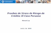 Pruebas de Stress de Riesgo de Crédito: El Caso Peruano Manuel Luy Junio de 2010.