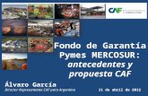 Fondo de Garantía Pymes MERCOSUR: antecedentes y propuesta CAF Álvaro García Director Representante CAF para Argentina 11 de abril de 2012.