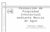 1 ®2002 The Digital Map Ltda. Protección de Propiedad Intelectual mediante Marcas de Agua Carlos López carlos.lopez@thedigitalmap.com.