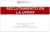 Beatriz Rivera-Cruz, PhD Decana Decanato de Asuntos Académicos R ECLUTAMIENTO EN LA UPRRP.