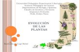 Evolución de las Plantas