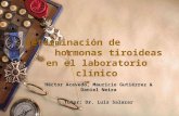 Determinación de hormonas tiroideas en el laboratorio clínico Héctor Acevedo, Mauricio Gutiérrez & Daniel Neira Tutor: Dr. Luis Salazar.