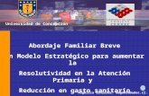 U Universidad de Concepción Abordaje Familiar Breve Un Modelo Estratégico para aumentar la Resolutividad en la Atención Primaria y Reducción en gasto sanitario.