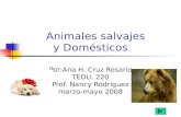 Animales salvajes y Domésticos Por:Ana H. Cruz Rosario TEDU. 220 Prof. Nancy Rodríguez marzo-mayo 2008.