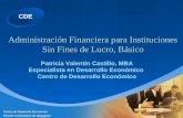 CDE Centro de Desarrollo Económico Recinto Universitario de Mayagüez 1 Administración Financiera para Instituciones Sin Fines de Lucro, Básico Patricia.