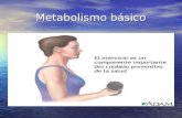 Metabolismo básico. El metabolismo basal es aquel conjunto de acciones y reacciones que tienen lugar en el interior de las células, permitiéndolas realizar.