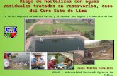 Riego de hortalizas con aguas residuales tratadas en reservorios, caso del Cono Este de Lima IV Taller Regional de América Latina y el Caribe: Uso Seguro.